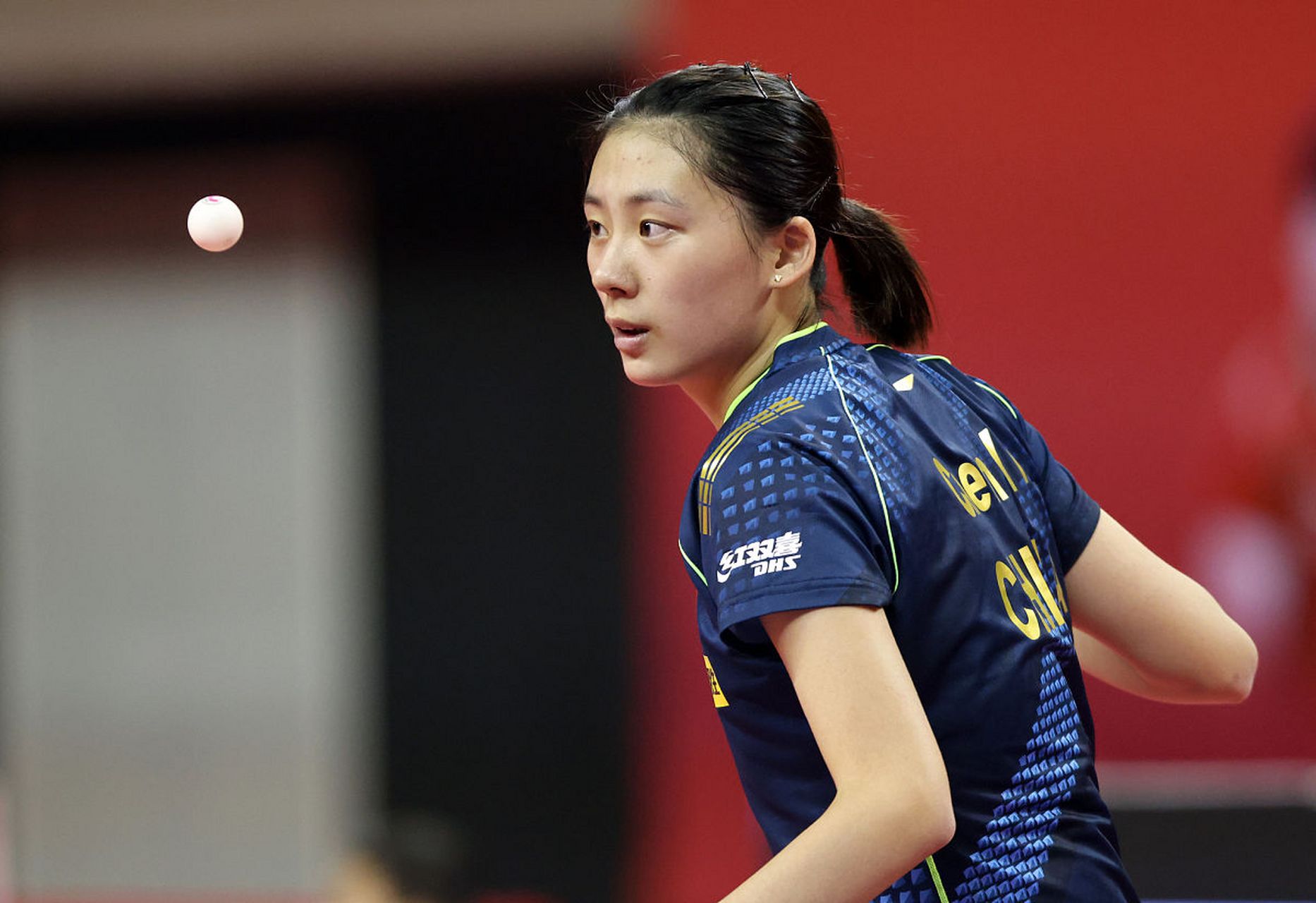 央视每周固 央视每周固