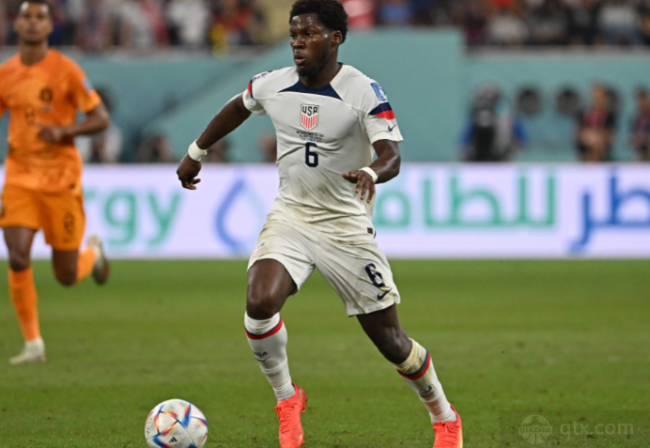 树立了国际 树立了国际