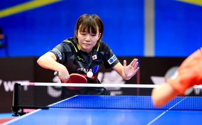 巧与力量诠 巧与力量诠