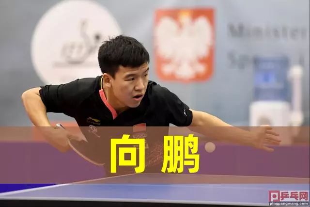 鲜的力量 鲜的力量