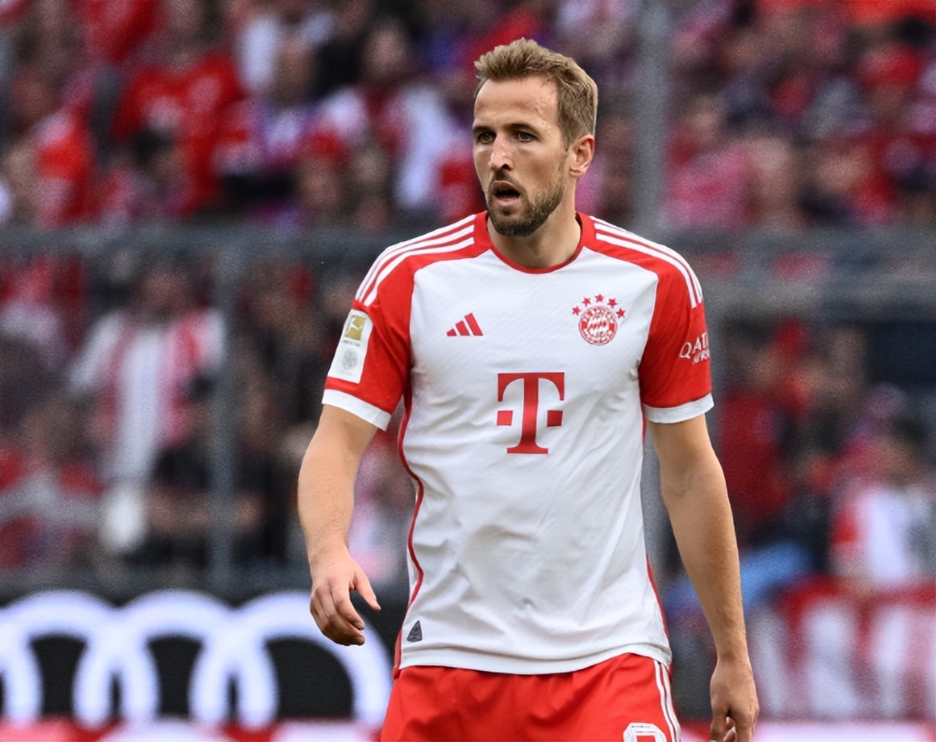 疑似人体残 疑似人体残